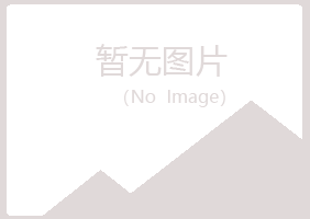 重庆埋没音乐有限公司